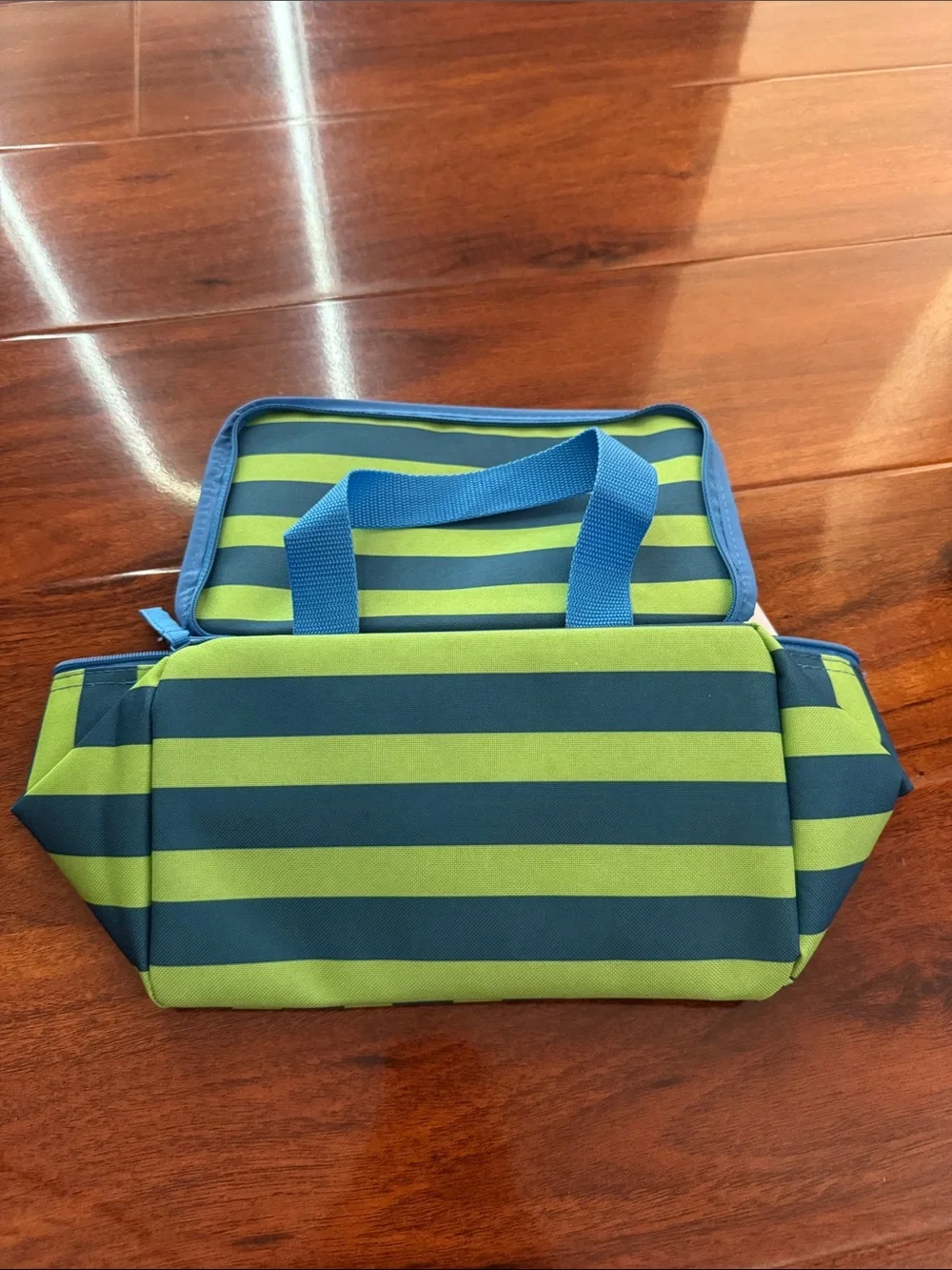 Striped Trader Joe’s Mini Insulated Tote Bag in Blue and Green